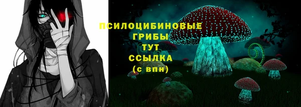 гашик Бронницы