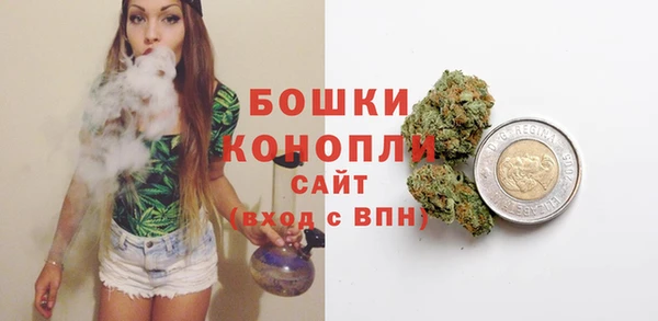 эйфоретик Бородино