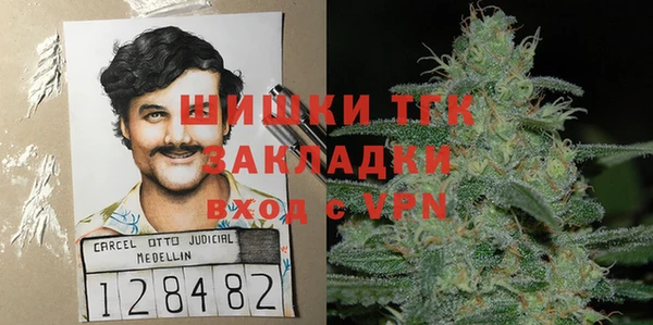 эйфоретик Бородино