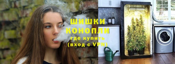 эйфоретик Бородино