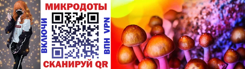 Купить где Рославль Псилоцибиновые грибы мицелий